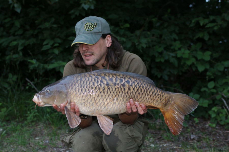 Phil Swift - 18lb - Tea Party 1 - 03/07/2021