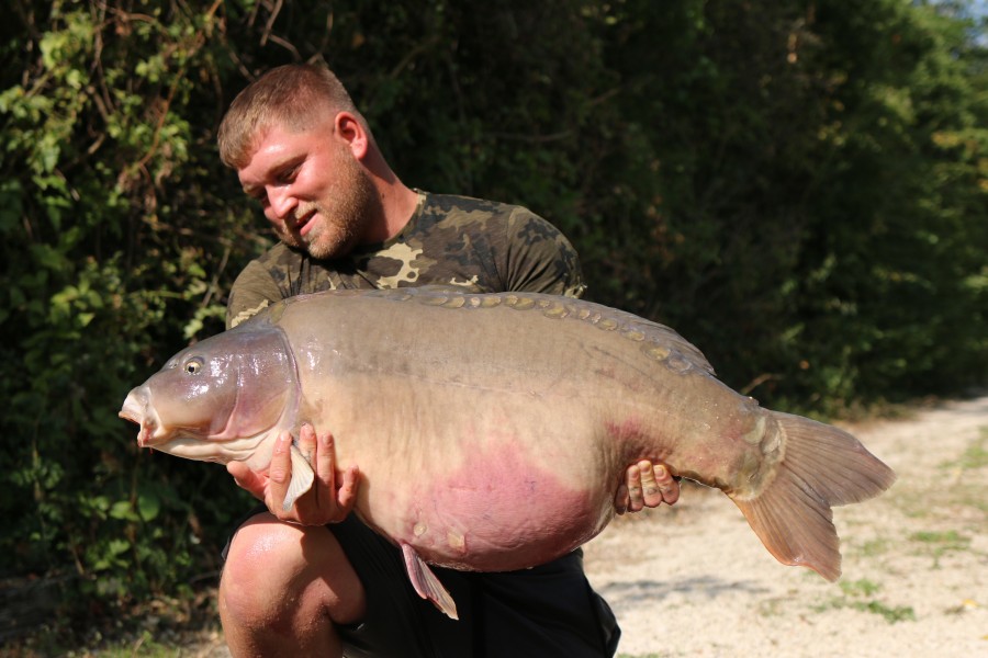 Jamie Curtis - 48lb 12oz - Decoy - 14/08/2021