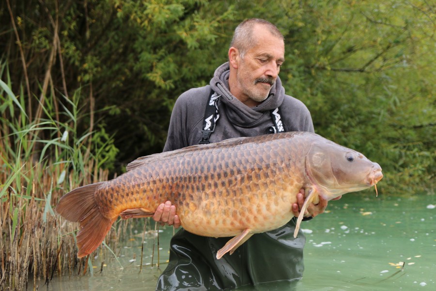 What a fish!! "The Wedge" at 51lb which is a new PB for Darren Halls.