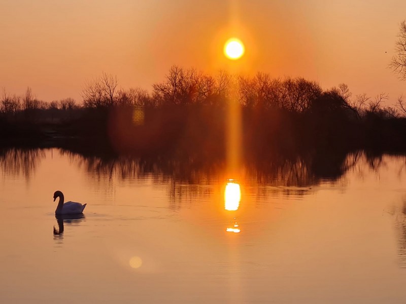 We all love a sunrise shot!