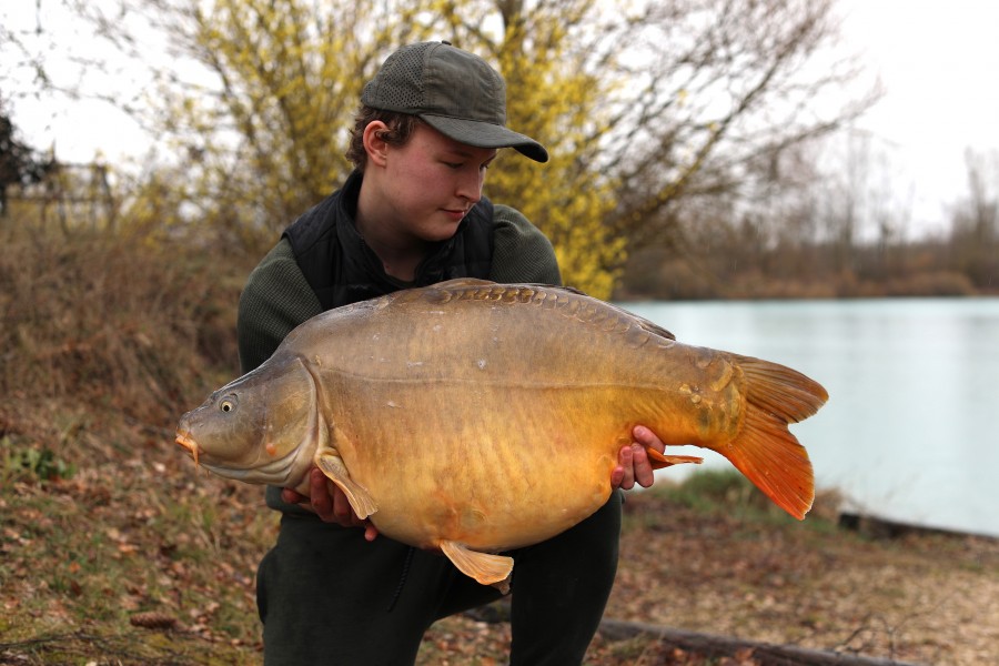 They couldn't resist the Slow Sinking Maize!