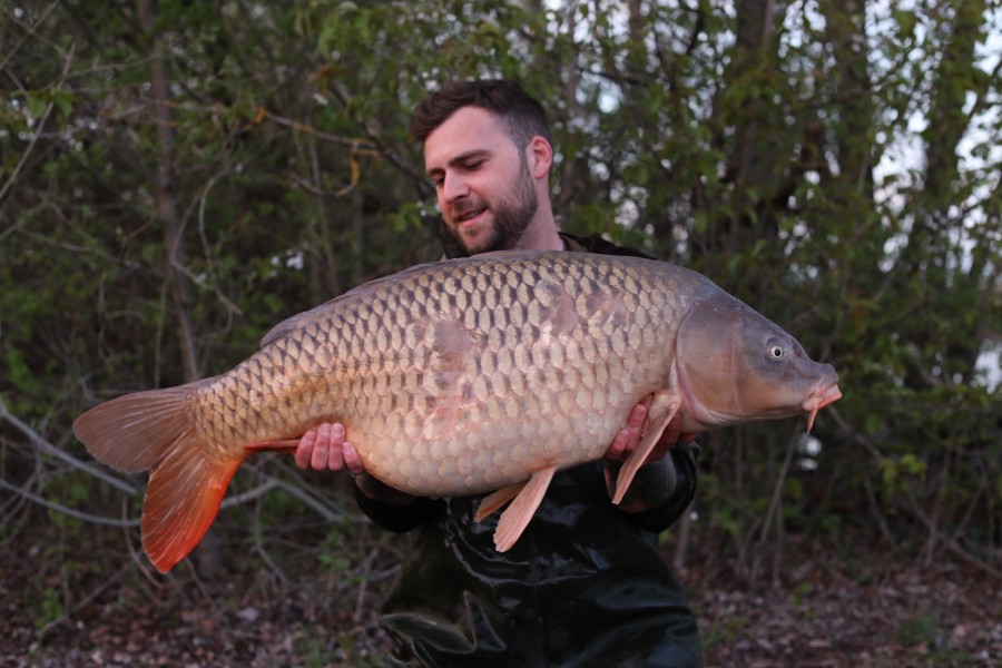 Such a cool carp...