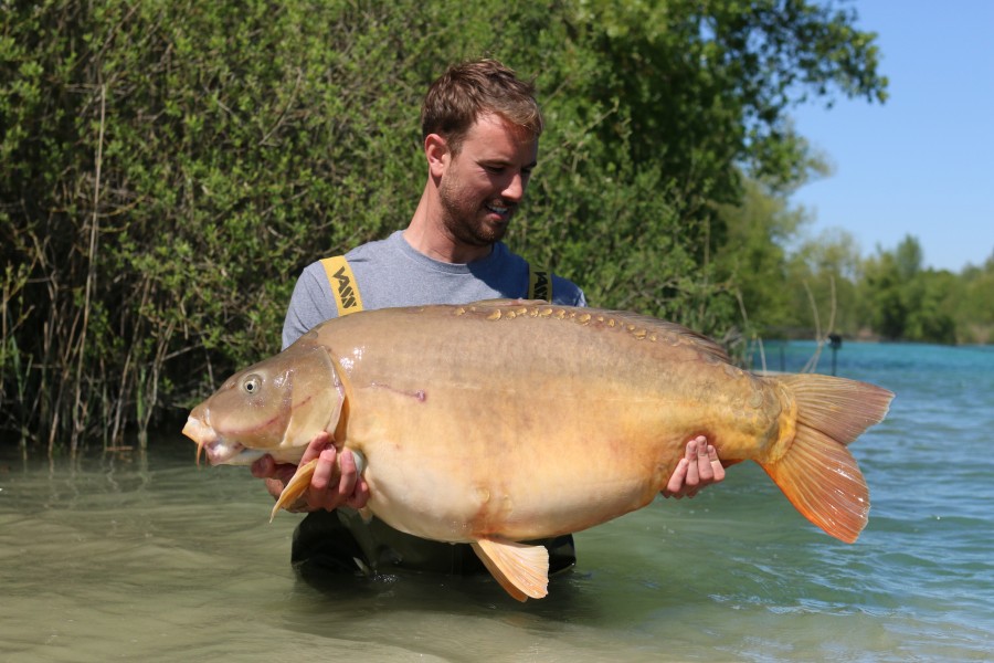 'Big Shack' at 53lb 8oz had definitely been on the maize the sling was full of it
