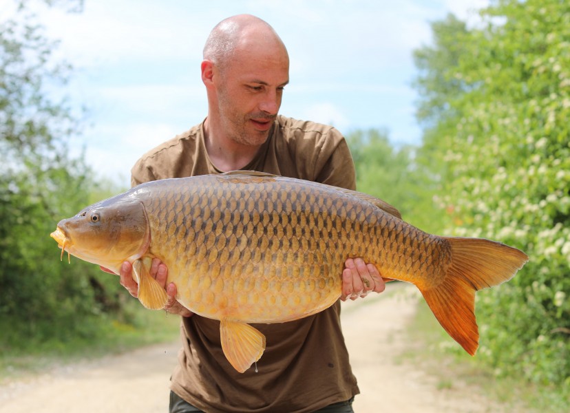 Matt chipped in with a couple of nice ones!