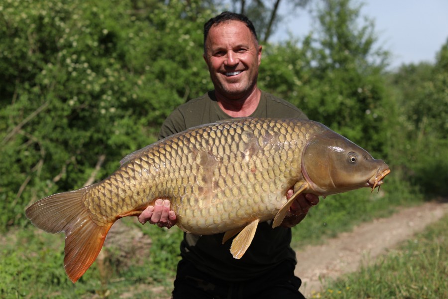 Paul chipped in with a couple of mid 30 commons also!