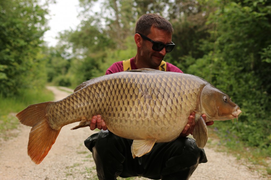 "Splash" at 37lb 8oz light as a feather after Rons hey mate