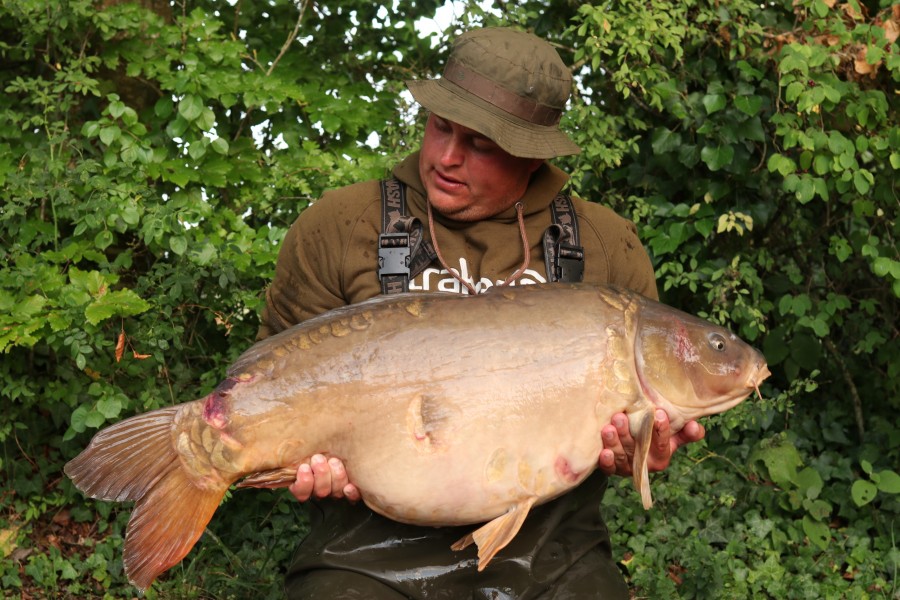 Big Scale looking a little scraped up after spawning but with some TLC off Joe and application of propolis she's good as new 43lb 4oz