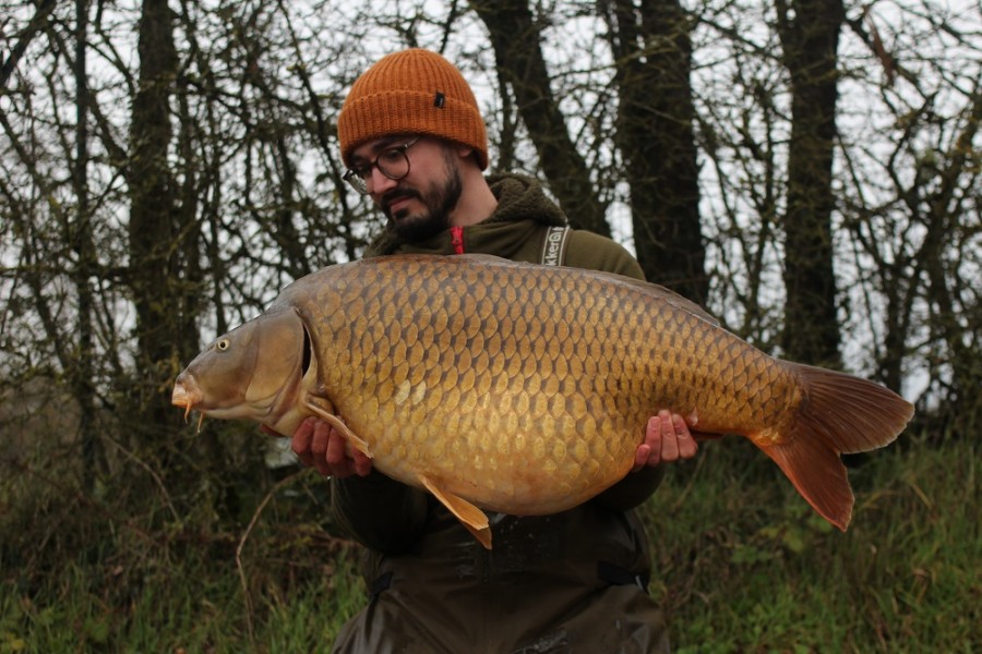 Brute of a Common!