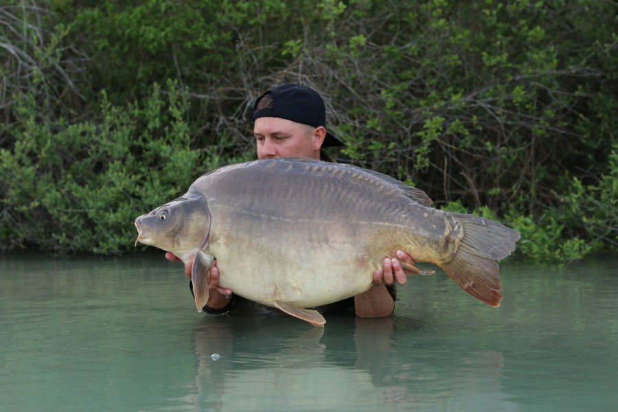 Castro 45lb 8oz