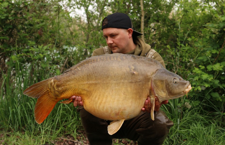 Raspberry 43lb