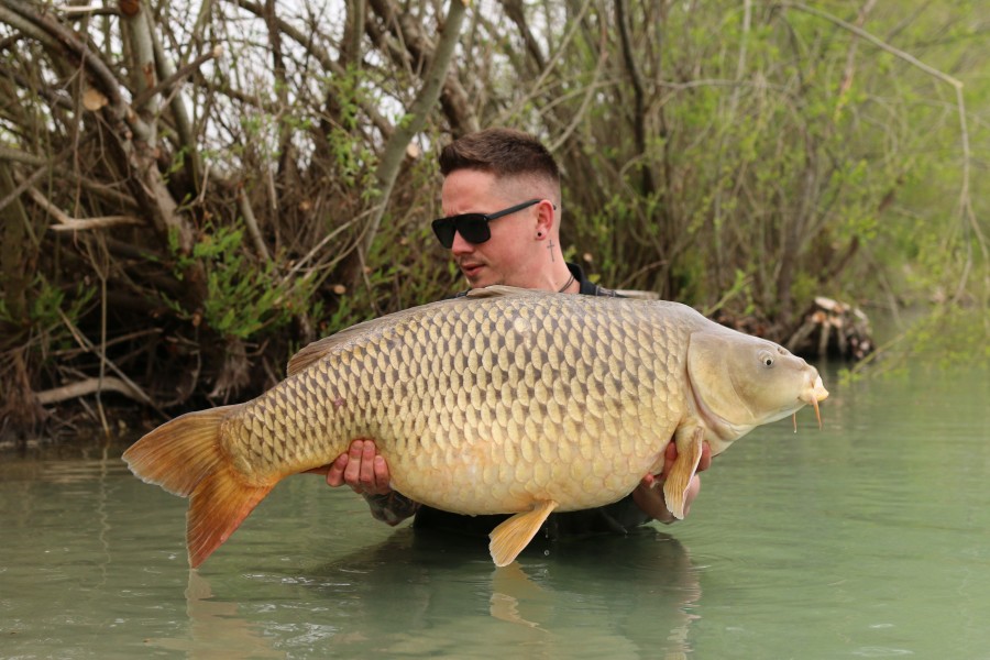 Balazs with the Traveller 50lb 2oz