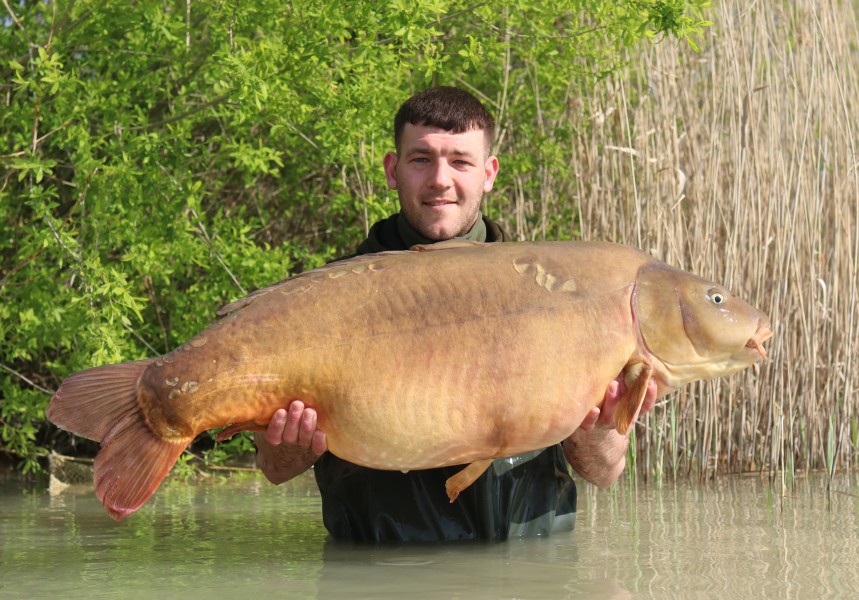 4 Scale 49lb