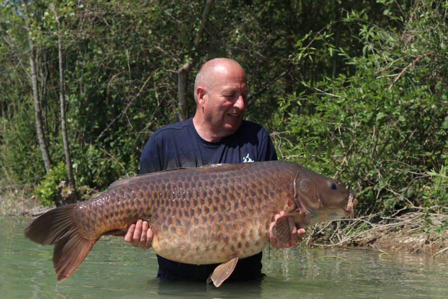 The Wedge 54lb