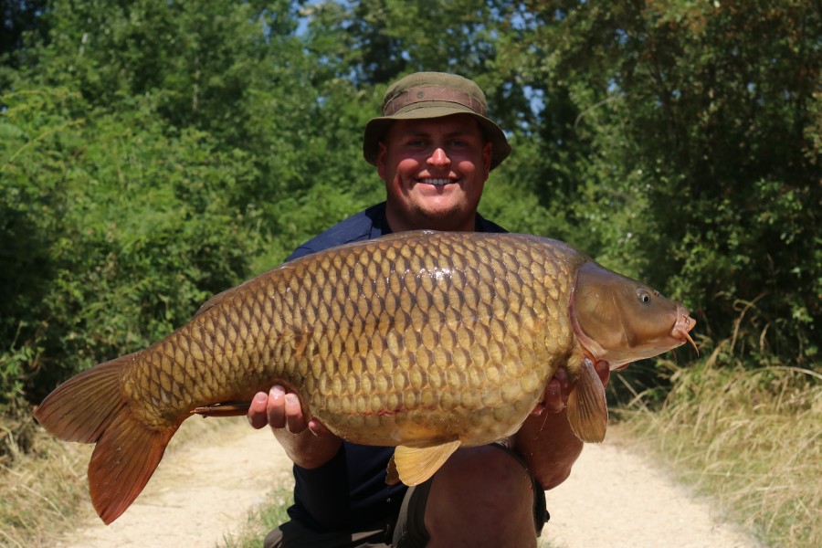 38lb common.