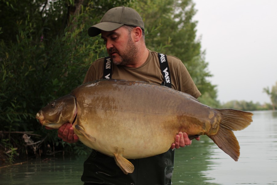 Awesome Carp for Scott in Decoy Lovin' Life at 51lb 6oz
