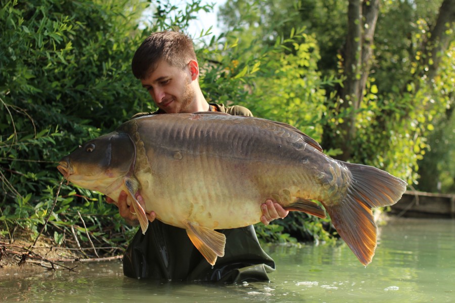 Kellen with after work at 50lb 4oz Mega Carp!