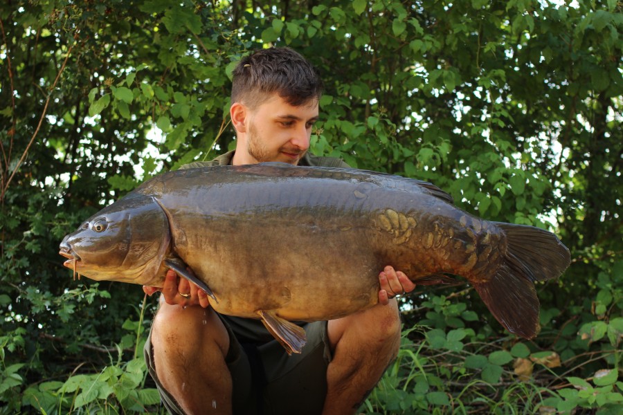 Darky at 45lb 14oz another mega Carp caught this week!