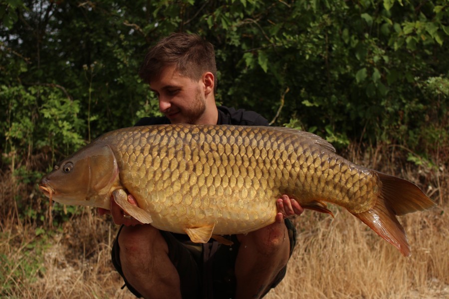 Scottie's Common at 40lb 12oz