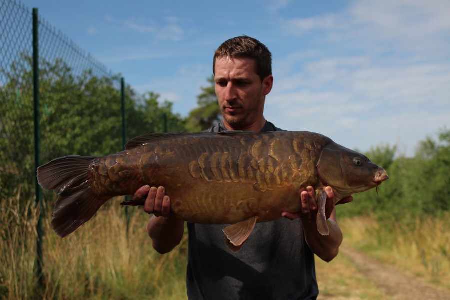 Brooksey at 25lb 6oz stunning carp!