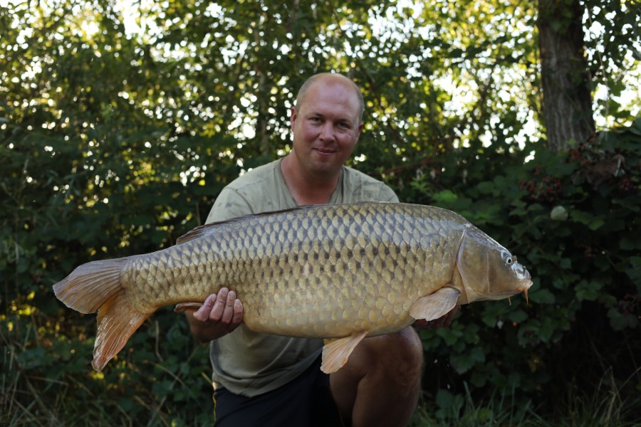 Scotties Common 41lb 6oz