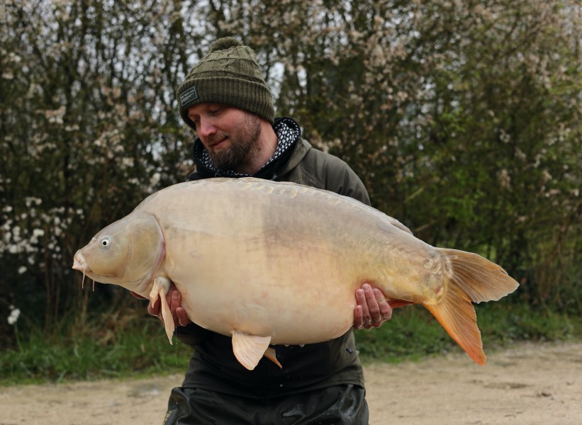 ' HobNob ' at 48lb from Tea party 2.