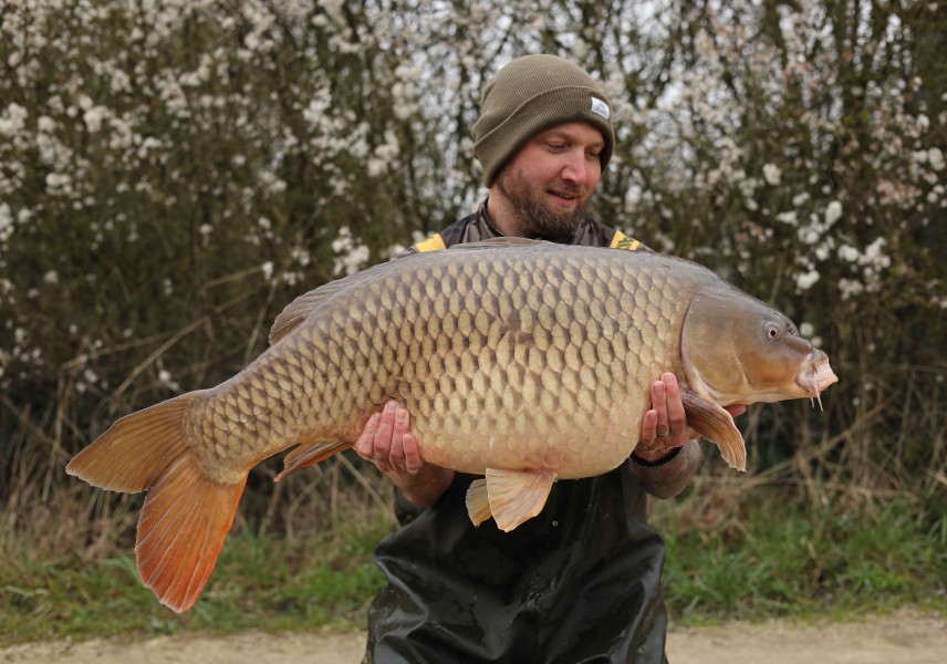 ' Splash ' 39lb 6oz.