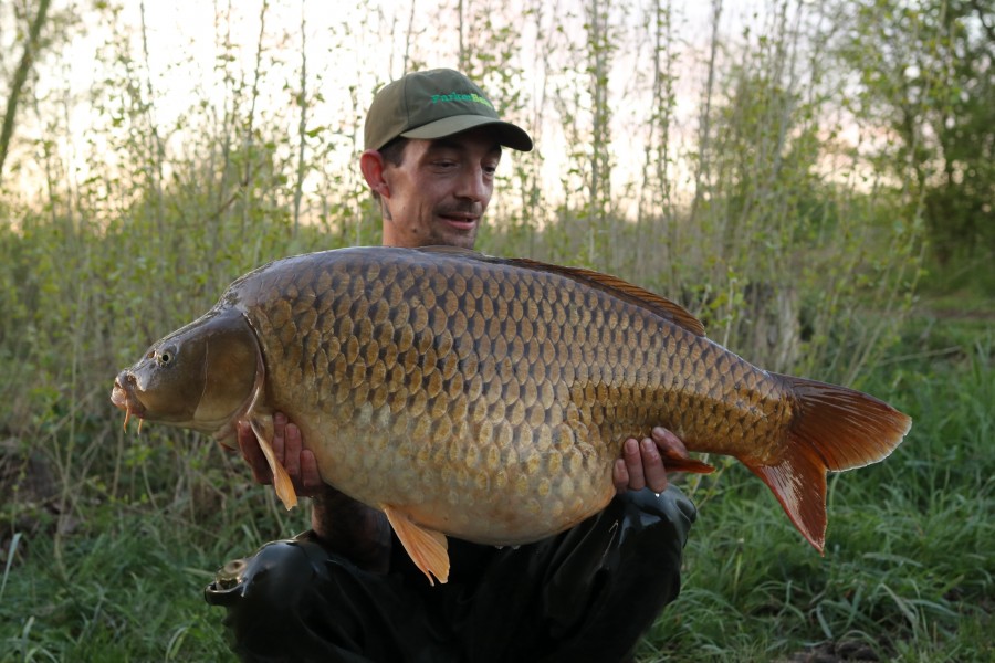 Anthony with Minky 41lb