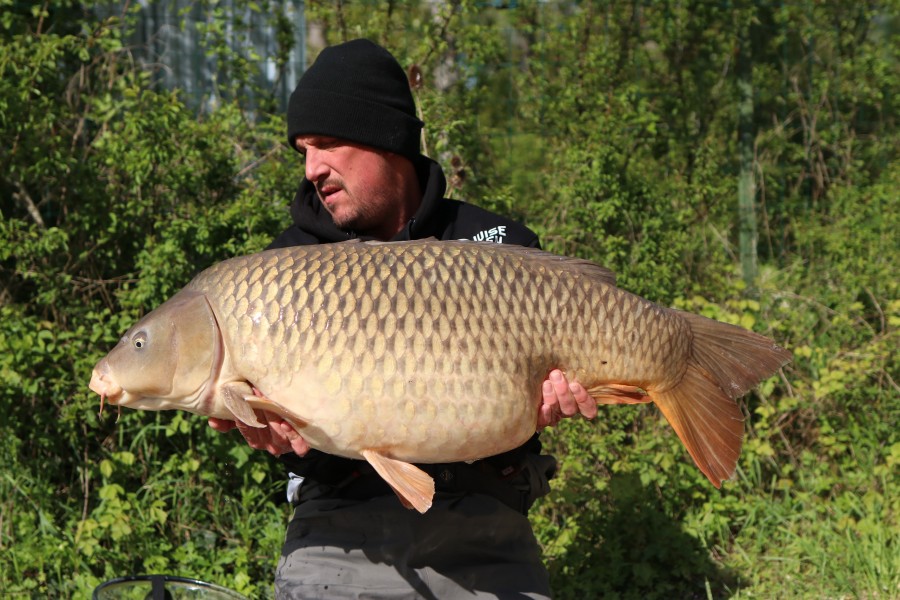 Mawill with Riley - 47lb