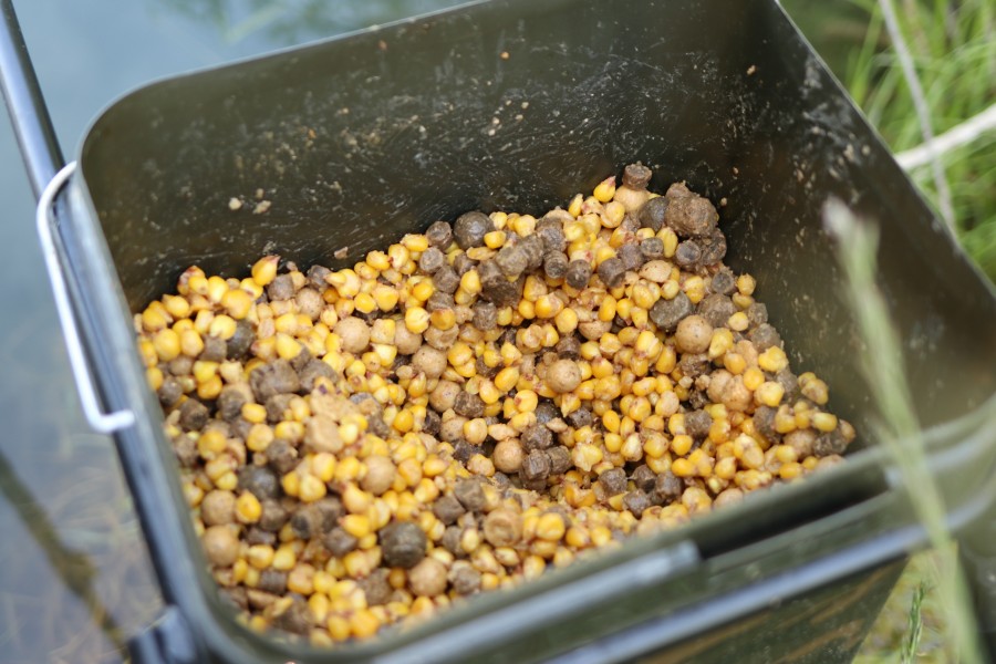 The Bait that tripped up the biggens from Turtles