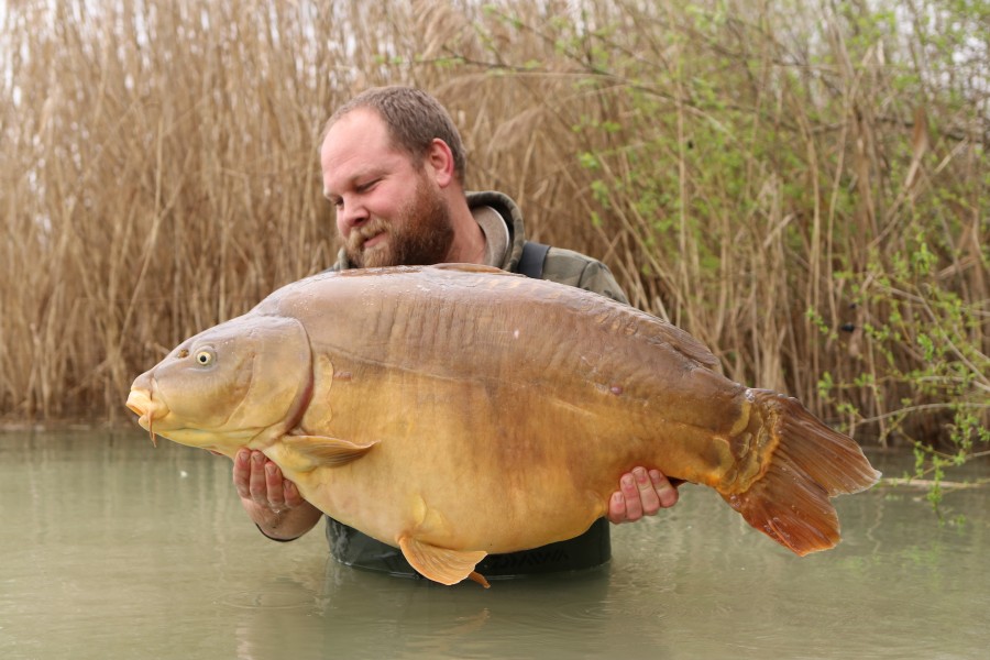 James with Broken Tail