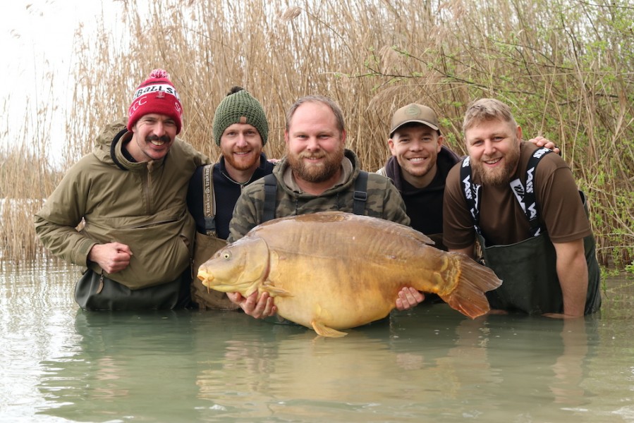 Birthday carps