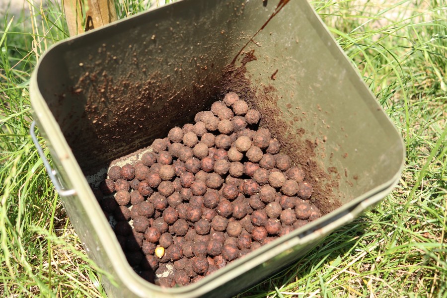 Boilies ready to go