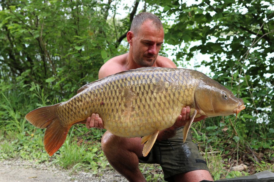 Stephen with the Norfolk Common