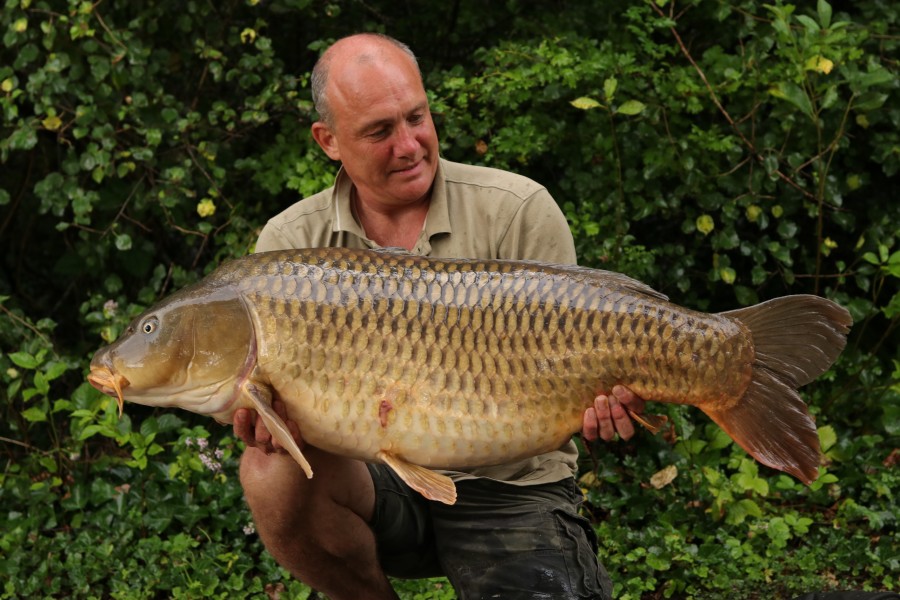 David with the Long Common