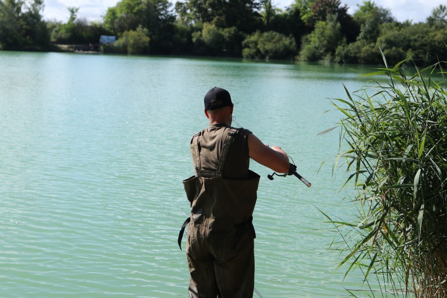 Action in Decoy