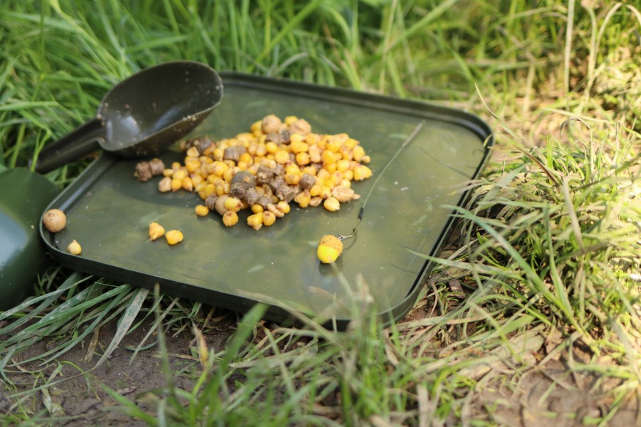 Plenty of grub for the fish