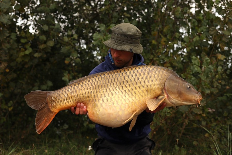 Adam with Twin Patch