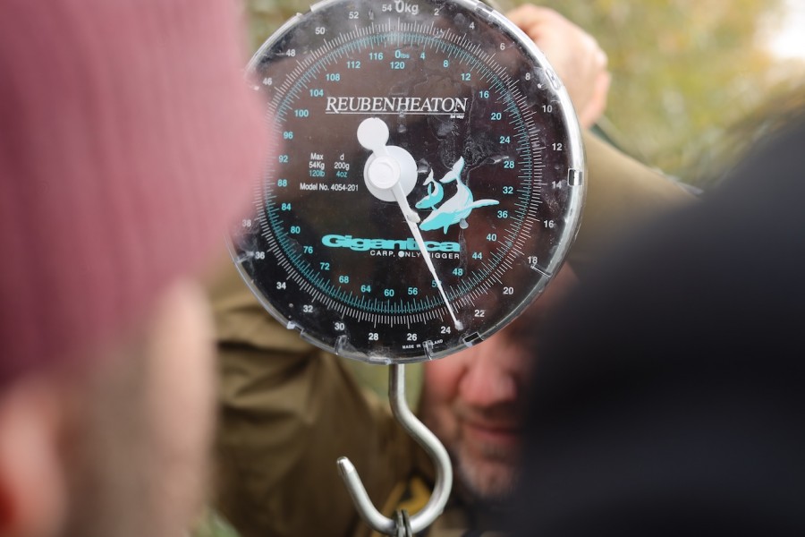 Weigh in time in Turtles