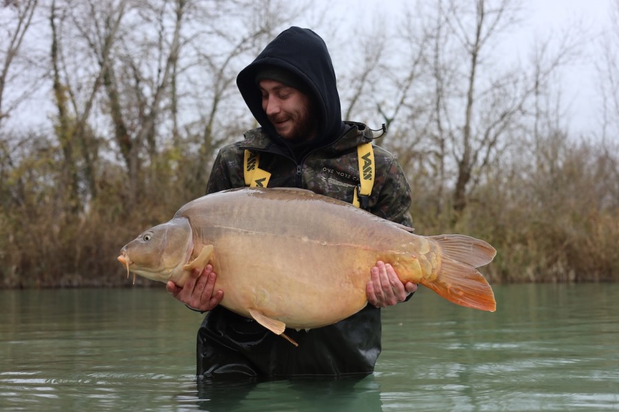 Molly at 45lb for Jamie in Bacheliers