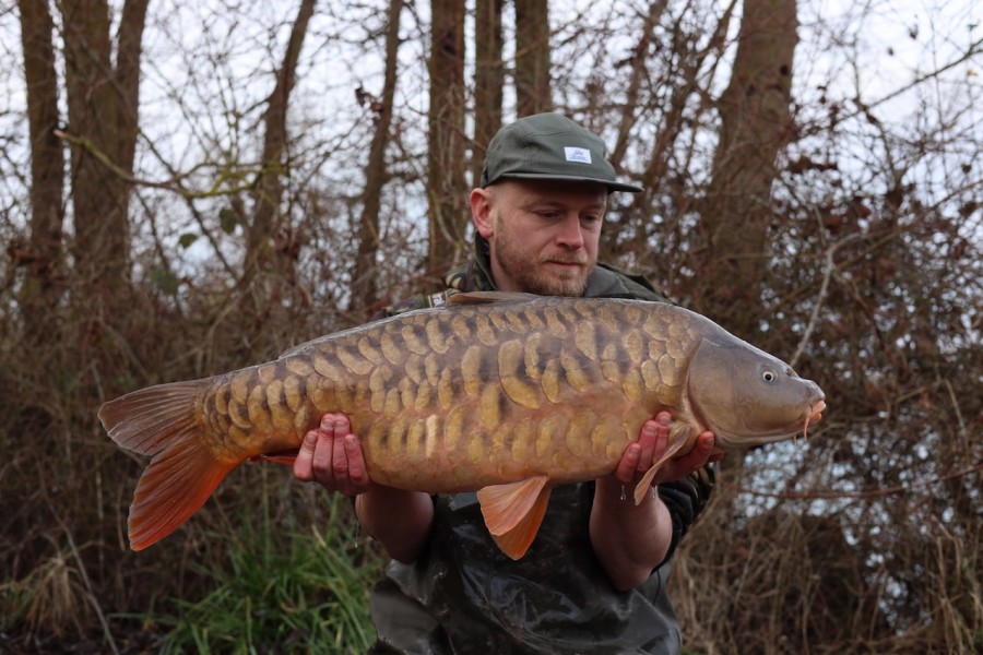Gilder Special at 27lb 12oz for Alex