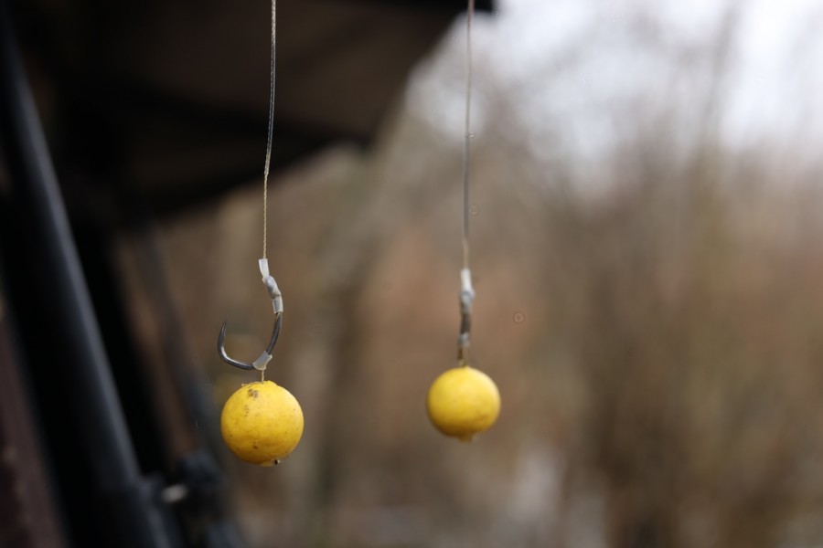 Rigs baited and ready